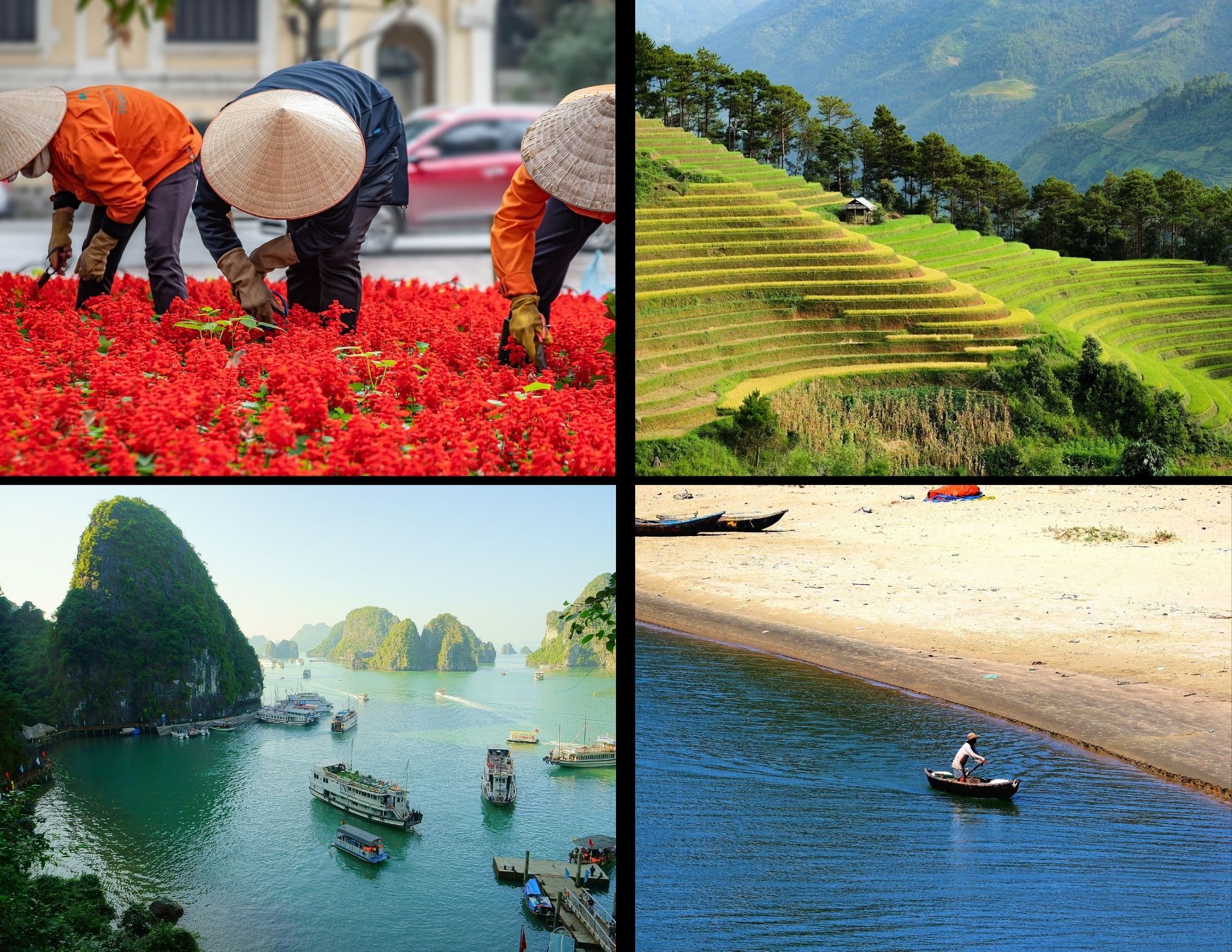 Discovering the Seasons of Vietnam